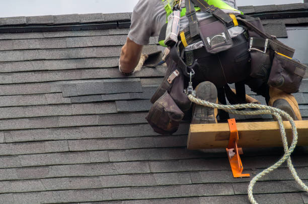 Best Storm Damage Siding Repair  in Southern Gateway, VA