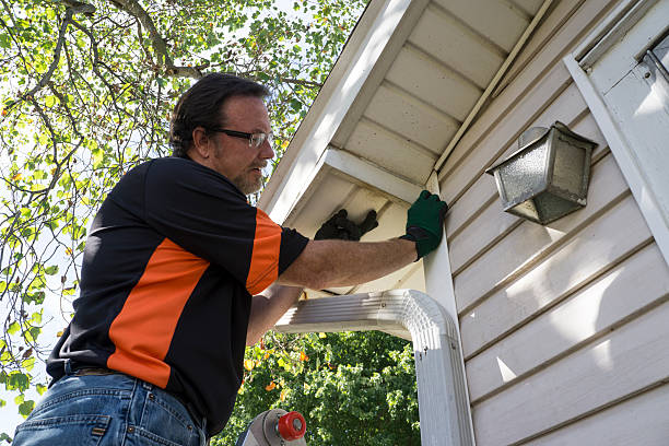 Best Stone Veneer Siding  in Southern Gateway, VA